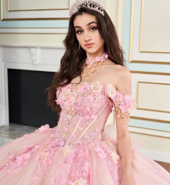 PR30178 $4 default Strawberry Shortcake thumbnail
